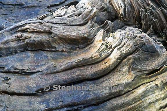 driftwood 3747 1 graphic